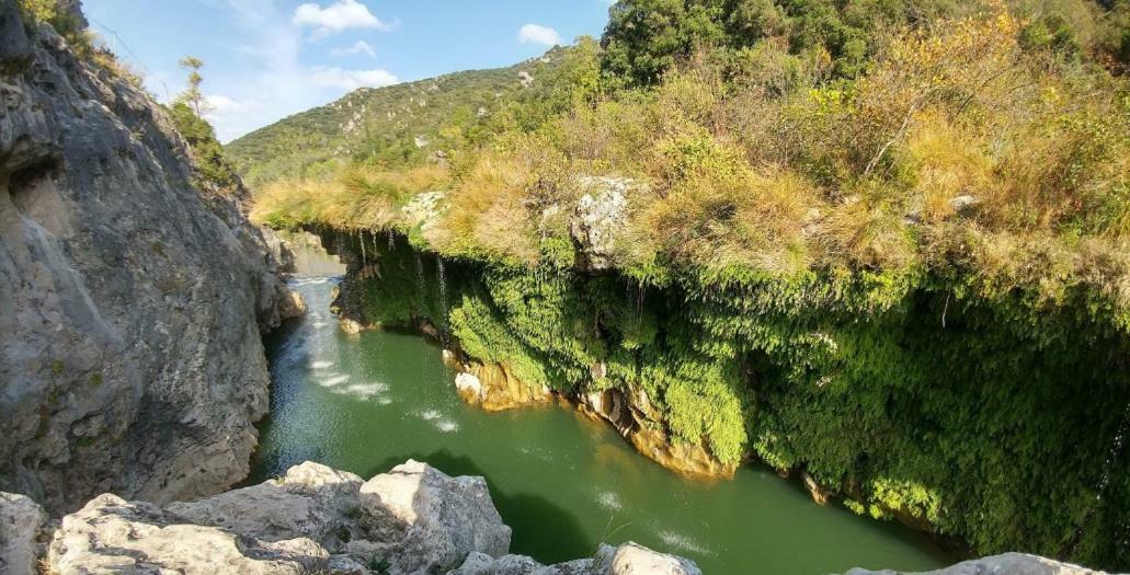 Les Barons De Guers Villa Castelnau-de-Guers Ngoại thất bức ảnh