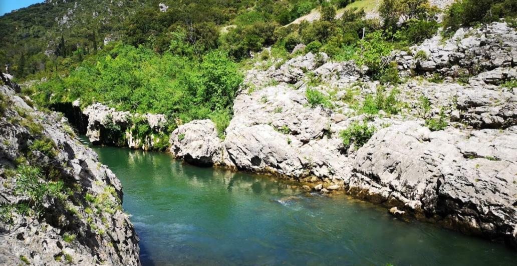 Les Barons De Guers Villa Castelnau-de-Guers Ngoại thất bức ảnh